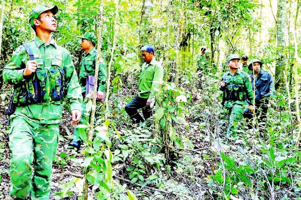 Ban Quản lý Rừng phòng hộ Vành đai biên giới phối hợp lực lượng Bộ đội Biên phòng thực hiện tuần tra rừng trên địa bàn biên giới phía tây tỉnh Lâm Đồng.