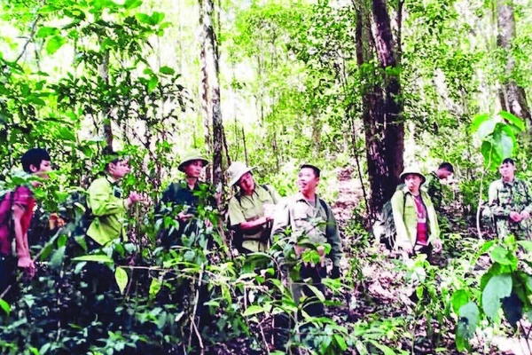 Các hộ nhận khoán và lực lượng chuyên trách tuần tra, bảo vệ rừng.