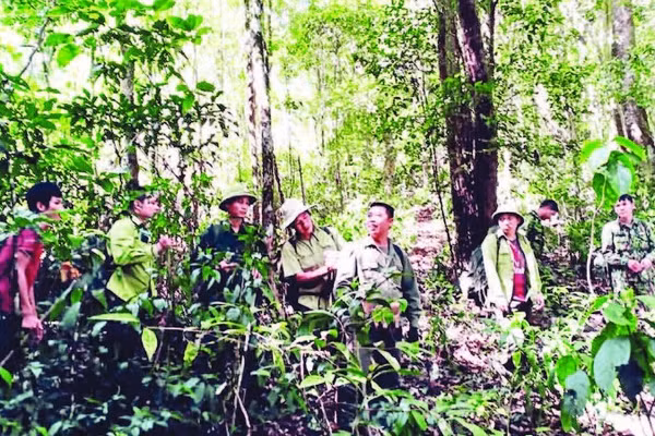 Các hộ nhận khoán và lực lượng chuyên trách tuần tra, bảo vệ rừng.