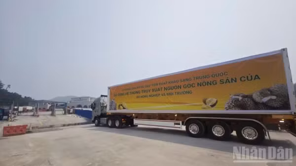 Xe chở sầu riêng xuất khẩu vào thị trường Trung Quốc theo diện Luồng xanh sử dụng hệ thống truy xuất nguồn gốc của Bộ Nông nghiệp và Môi trường tại khu vực Cửa khẩu Quốc tế Hữu Nghị, tỉnh Lạng Sơn.