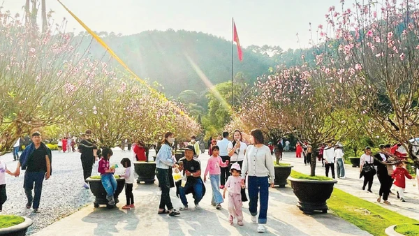 Du khách đi lễ, du xuân tại Chùa Địa Tạng Phi Lai Tự, Ninh Bình.