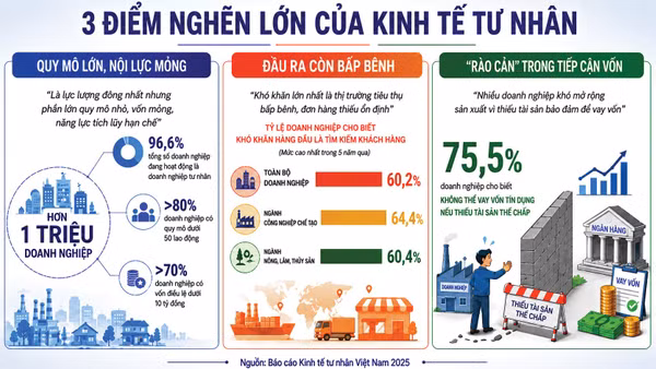 Đồ họa: TỐ HÂN