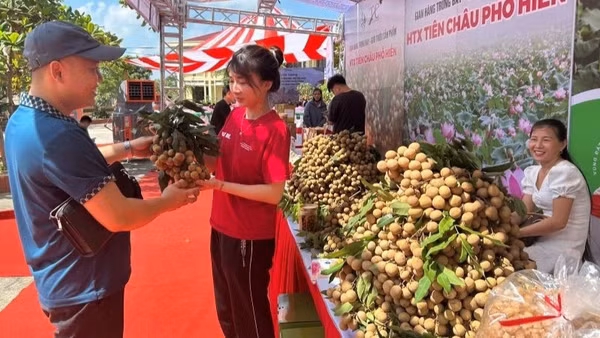 Gian hàng nhãn tại hội nghị xúc tiến thương mại tiêu thụ nhãn tại xã Tân Hưng, tỉnh Hưng Yên. (Ảnh: PHẠM HÀ)