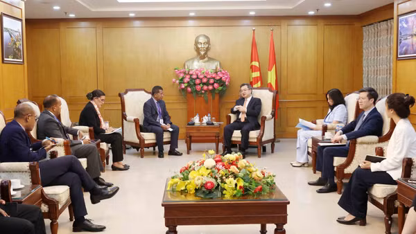 Quang cảnh buổi tiếp. (Ảnh: TTXVN)