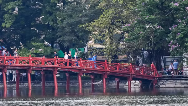 Nhiều du khách dừng chân bên hồ để ngắm nhìn và ghi lại khoảnh khắc thiên nhiên hòa quyện với nhịp sống đô thị hiện đại.