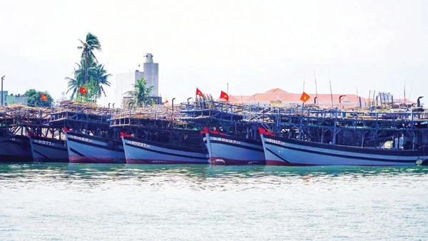 Hàng loạt tàu cá công suất lớn của các xã phía nam thành phố Đà Nẵng nằm bờ do giá xăng, dầu tăng cao.