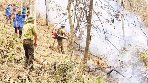 Lực lượng kiểm lâm phối hợp các cơ quan, đơn vị diễn tập phòng cháy, chữa cháy rừng tại xã Mường Pồn (tỉnh Điện Biên) (Ảnh: TRẦN THAO)