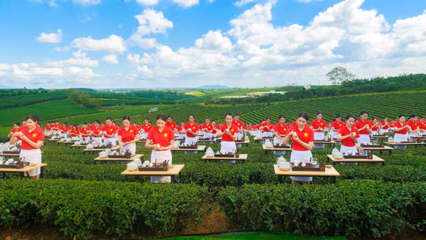 Khi chén trà trở thành một dạng thức của thương hiệu Việt