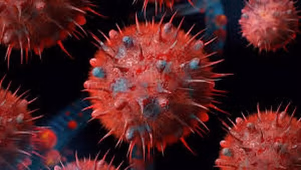 Nguồn: SBS Australia 