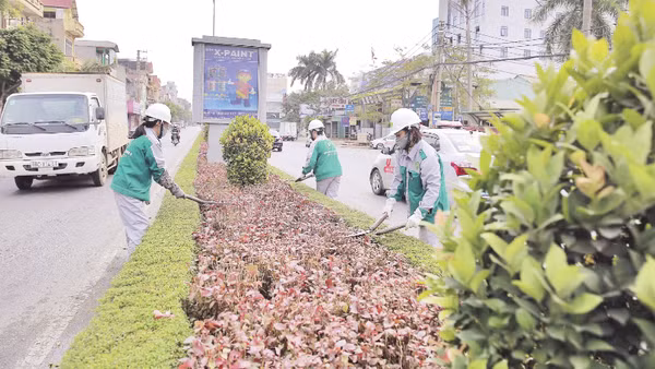 Nhân viên Công ty cổ phần Môi trường và Công trình đô thị Phúc Yên chăm sóc cây hoa đường phố.