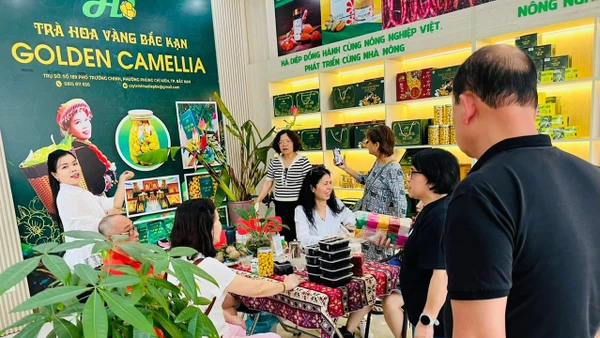 Du khách thăm và mua sắm ở điểm giới thiệu, trưng bày sản phẩm OCOP của Công ty Trách nhiệm hữu hạn Hà Diệp tại thành phố Bắc Kạn. (Ảnh: MINH ĐỢI).