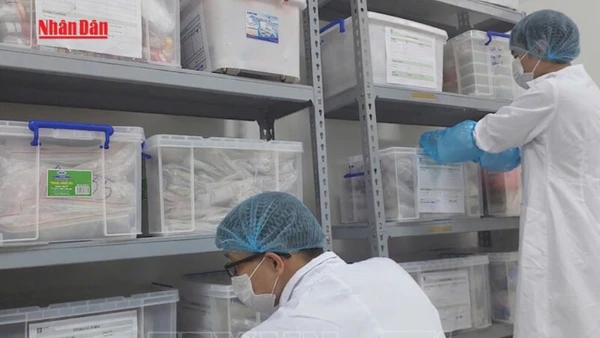 [Video] Bước tiến mới trong công nghệ giám định hài cốt liệt sĩ 