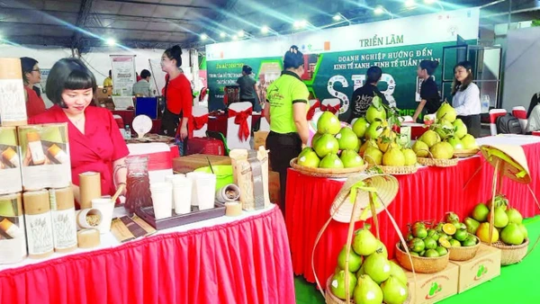 Doanh nghiệp giới thiệu sản phẩm thông qua các hoạt động xúc tiến thương mại do Thành phố Hồ Chí Minh tổ chức.