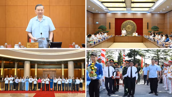 Tin nổi bật ngày 25/5: Tổng Bí thư, Chủ tịch nước Tô Lâm chủ trì cuộc làm việc về công tác nghiên cứu khoa học cơ bản; Nhà ở cho thuê là phân khúc chiến lược, dài hạn