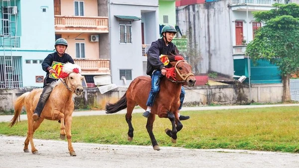 Những vòng đua nghẹt thở hấp dẫn du khách.