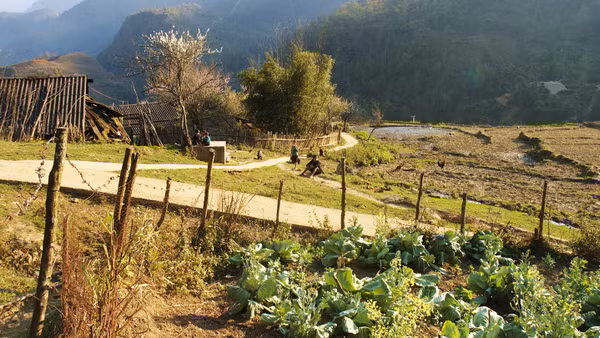 Cảnh trong phim "Thung lũng hoang vắng". (Ảnh: BTC cung cấp)