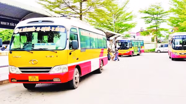 Xe buýt đang hoạt động trên địa bàn tỉnh Thái Nguyên chủ yếu sử dụng động cơ diesel truyền thống.