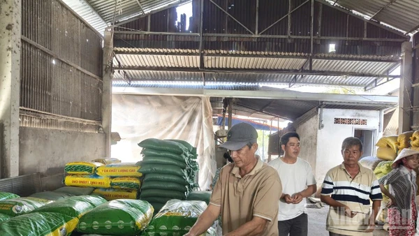 Nông dân xã Thoại Sơn tham gia mô hình kiểm tra nhận lúa giống.