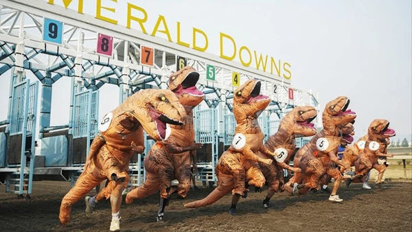 Giải chạy thú vị