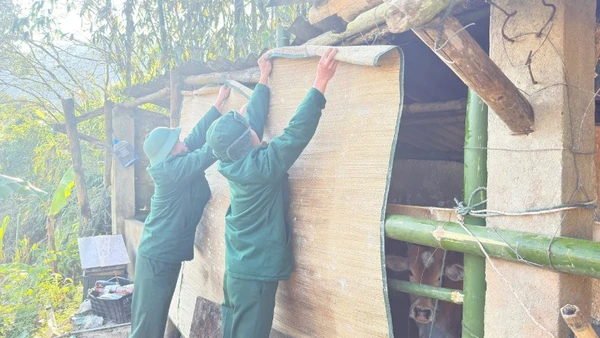 Cán bộ, chiến sĩ Đồn Biên phòng Na Ngoi hỗ trợ bà con nhân dân che chắn chuồng trại. (Ảnh: LÊ THẠCH)