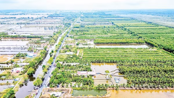Một góc vùng quê nông thôn thuộc ấp Vồ Dơi, xã Đá Bạc, tỉnh Cà Mau.