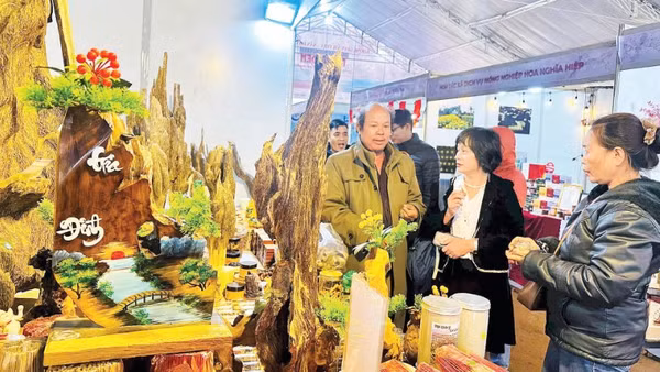 Sản phẩm OCOP do các hợp tác xã vùng cao Quảng Ngãi sản xuất trưng bày, giới thiệu tại các chương trình xúc tiến thương mại và hội chợ nông sản.