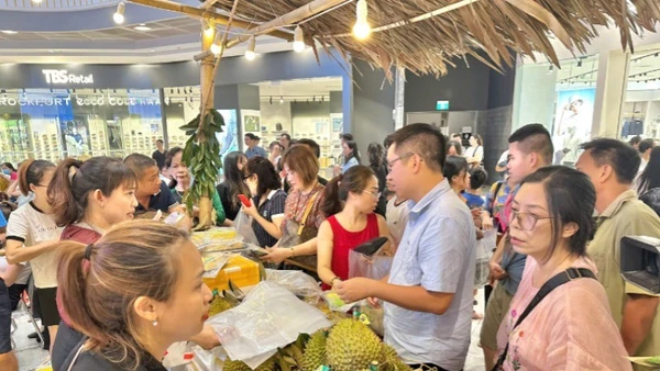 Người dân Hải Phòng tham gia, ủng hộ tiêu thụ sầu riêng của Cần Thơ.