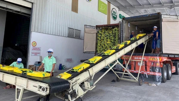 Dây chuyền đóng gói gạo xuất khẩu của Công ty cổ phần Nông nghiệp công nghệ cao Trung An, thành phố Cần Thơ. (Ảnh: MINH ANH)