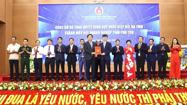 Chủ tịch Ủy ban nhân dân tỉnh Trần Duy Đông trao quyết định thành lập Hiệp hội Doanh nghiệp tỉnh Phú Thọ.