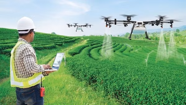 Ứng dụng IOT trong nông nghiệp bền vững.