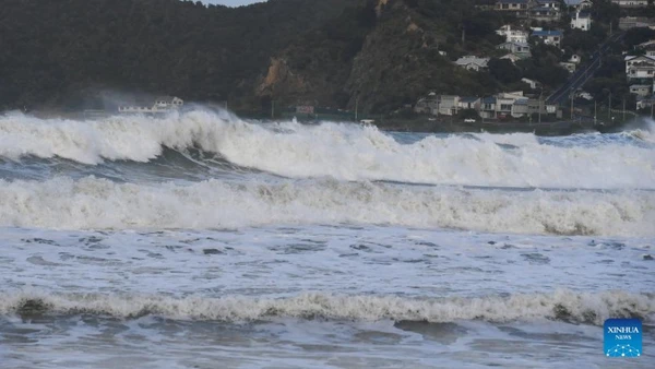 Ảnh minh họa: Tân Hoa xã