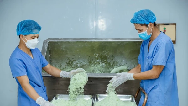 Quy trình sản xuất ống hút ECOS từ bột rau củ. 