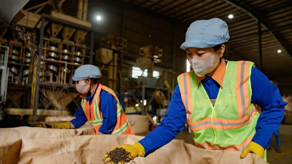 Xuất khẩu cà-phê Việt Nam năm 2025 đạt kỷ lục 8,9 tỷ USD.