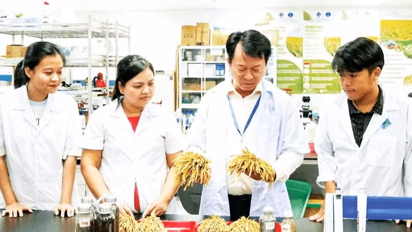 Đại học Cần Thơ khuyến khích sinh viên, học viên và nghiên cứu sinh tham gia nghiên cứu, thực tập.