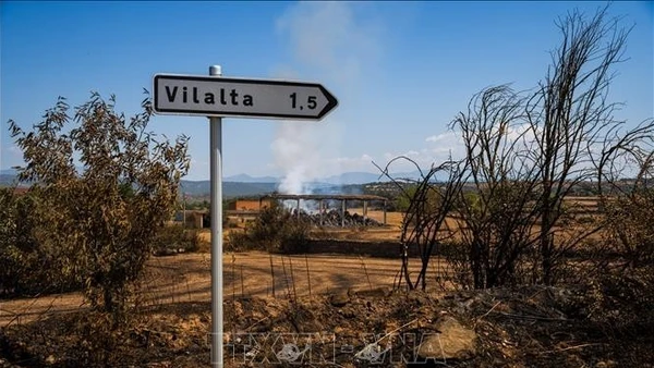 Khu vực bị tàn phá do cháy rừng ở Lleida, Tây Ban Nha. (Ảnh: THX/TTXVN)