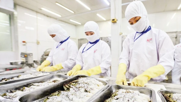 Trình diễn các sản phẩm khởi nghiệp sáng tạo tại Ngày hội khởi nghiệp sáng tạo năm 2025.