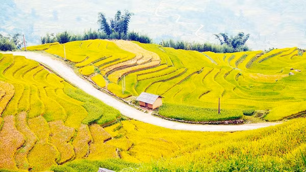 Việt Nam lọt vào danh sách 28 quốc gia đẹp nhất thế giới. Ảnh: ANH QUÂN