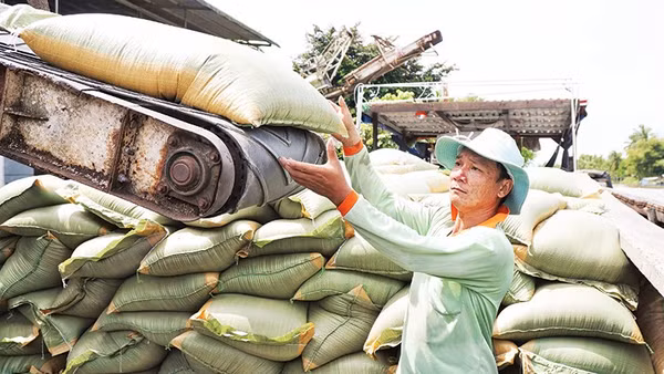 Các mặt hàng nông sản phải đối mặt áp lực tăng chi phí. Ảnh: MINH LÊ