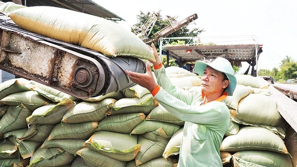 Các mặt hàng nông sản phải đối mặt áp lực tăng chi phí. Ảnh: MINH LÊ