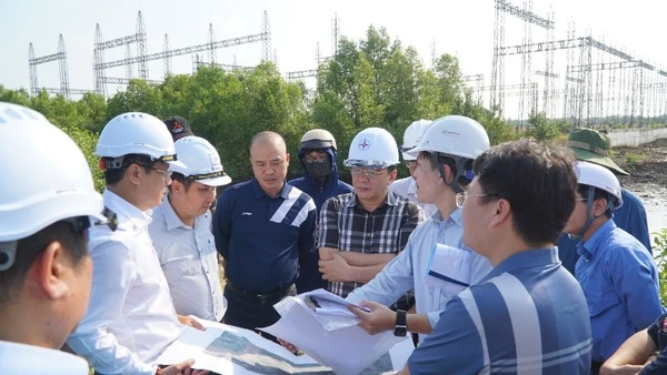 Chủ tịch Hội đồng thành viên Tổng công ty Điện lực Miền Nam Lê Văn Trang (áo carô) nghe báo cáo tiến độ thi công các dự án trên địa bàn tỉnh Cà Mau. 