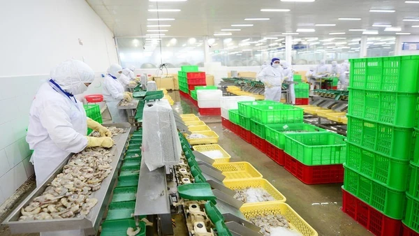 Xuất khẩu thủy sản sang EU tăng mạnh nhờ EVFTA.