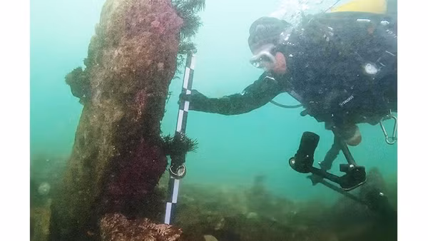 Phát hiện mới về di chỉ 7.000 năm tuổi