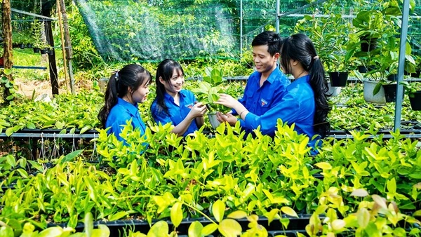 Anh Phúc chia sẻ kinh nghiệm trồng hoa cẩm cù với các đoàn viên, thanh niên địa phương.