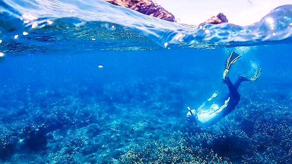 Dự án phục hồi rạn san hô ở Woppaburra. Ảnh: AIMS