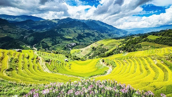 Bức tranh thủy mặc của núi rừng.