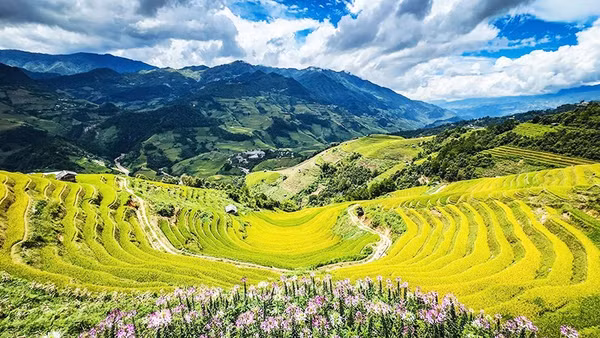 Bức tranh thủy mặc của núi rừng.