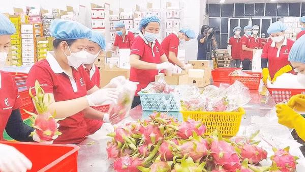Doanh nghiệp mong muốn tỉnh Tây Ninh tiếp tục đẩy mạnh cải cách theo hướng đồng bộ, minh bạch, tạo động lực đóng góp vào mục tiêu tăng trưởng kinh tế hai con số.