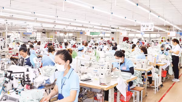 Theo các chuyên gia, để cải thiện chỉ số PCI, Quảng Ngãi cần thực thi hiệu quả chính sách hỗ trợ doanh nghiệp.