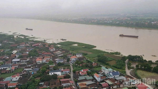 Xã đảo Minh Châu, Hà Nội. (Ảnh THÀNH ĐẠT)