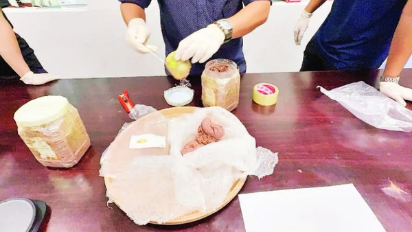 Ma túy giấu trong hộp mắm tôm do Hải quan Chuyển phát nhanh phát hiện, bắt giữ. (Ảnh CH)